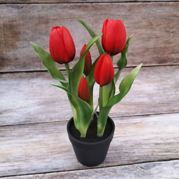 Cserepes gumi tulipán - 22 cm