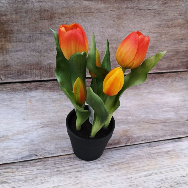 Cserepes gumi tulipán - 22 cm