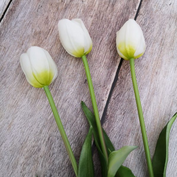 Gumi tulipán szálas 40 cm