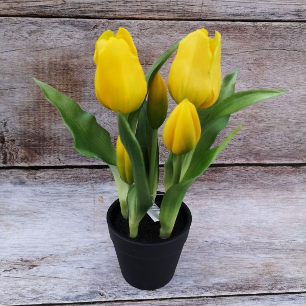Cserepes gumi tulipán - 23 cm