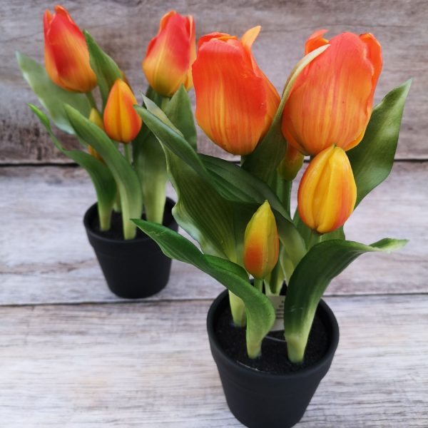 Cserepes gumi tulipán - 23 cm