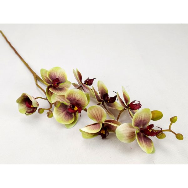 Dupla szálas gumi orchidea 65 cm ST30416