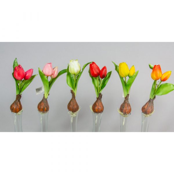 Hagymás gumi tulipán 25 cm