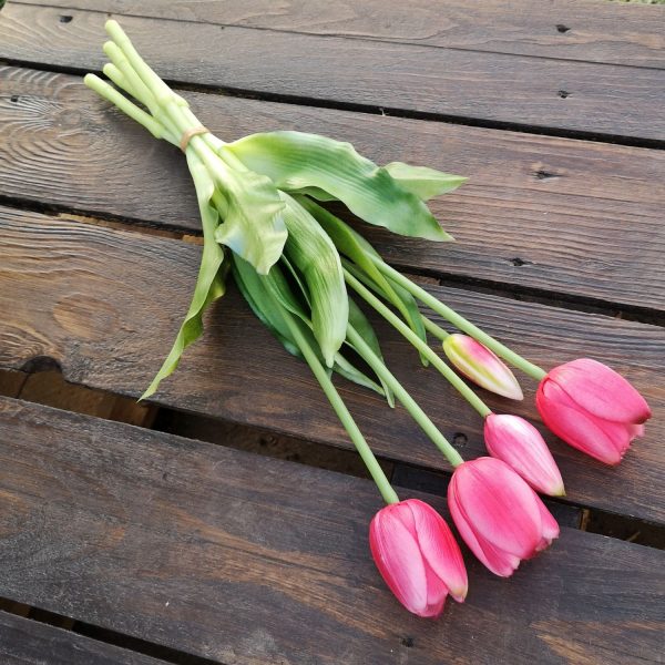 Gumi tulipán köteg 5 szálas több színben