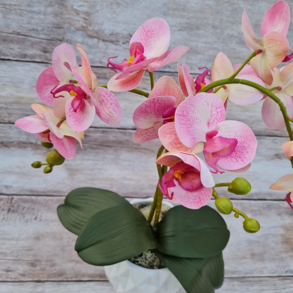 Mű orchidea kaspóban 2 szál rszín