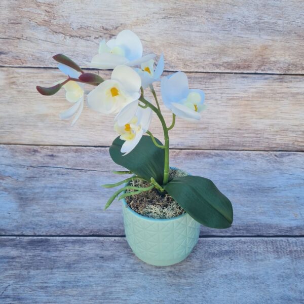 Mű orchidea kaspóban 3