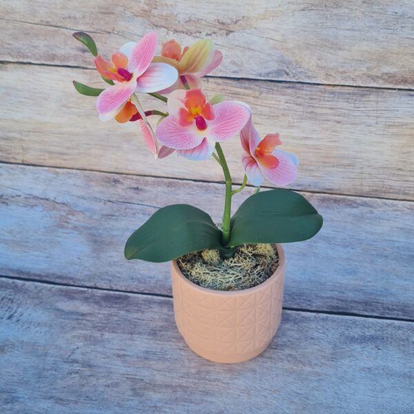 Mű orchidea kaspóban 4