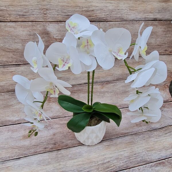 Mű orchidea kaspóban 2 szál fehér