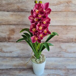 Élethű gumis orchidea kaspóban 1