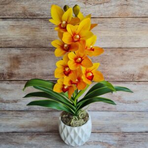 Élethű gumis orchidea kaspóban 2