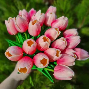 Habgumi tulipán 1 szál több színben