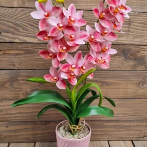 Élethű gumi orchidea kaspóban 2 szál