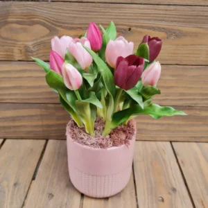 Tulipános asztaldísz lila 1